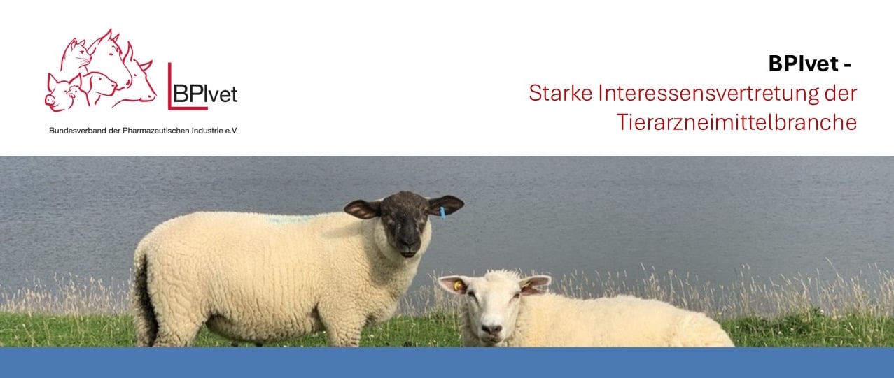 Vorlage Header_Newsletter_BPIvet