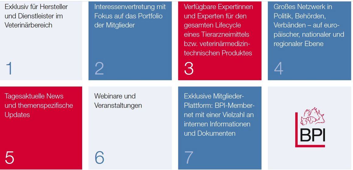 Sieben Gründe für BPIvet